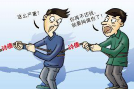 当阳为什么选择专业追讨公司来处理您的债务纠纷？